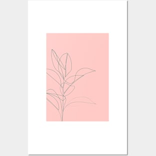 Rubber Plant ( coral ) Posters and Art